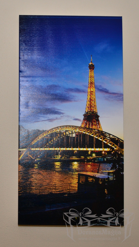 ant drobės DSC_1834_2500pix_800pix (2)