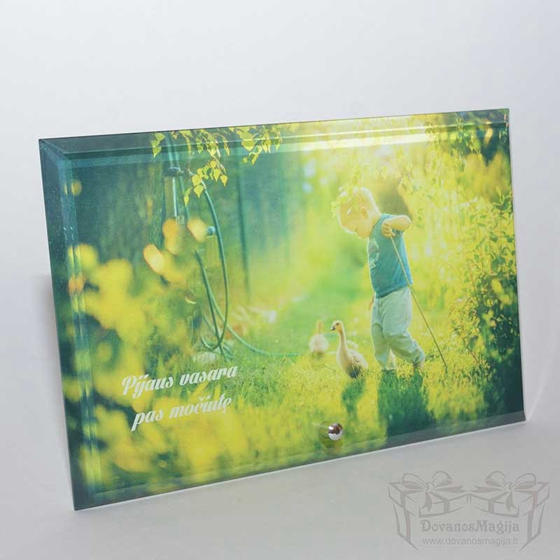 Stiklinis foto rėmelis 19 foto ant stiklo nuotrauka ant stiklo, 16x25x1cm