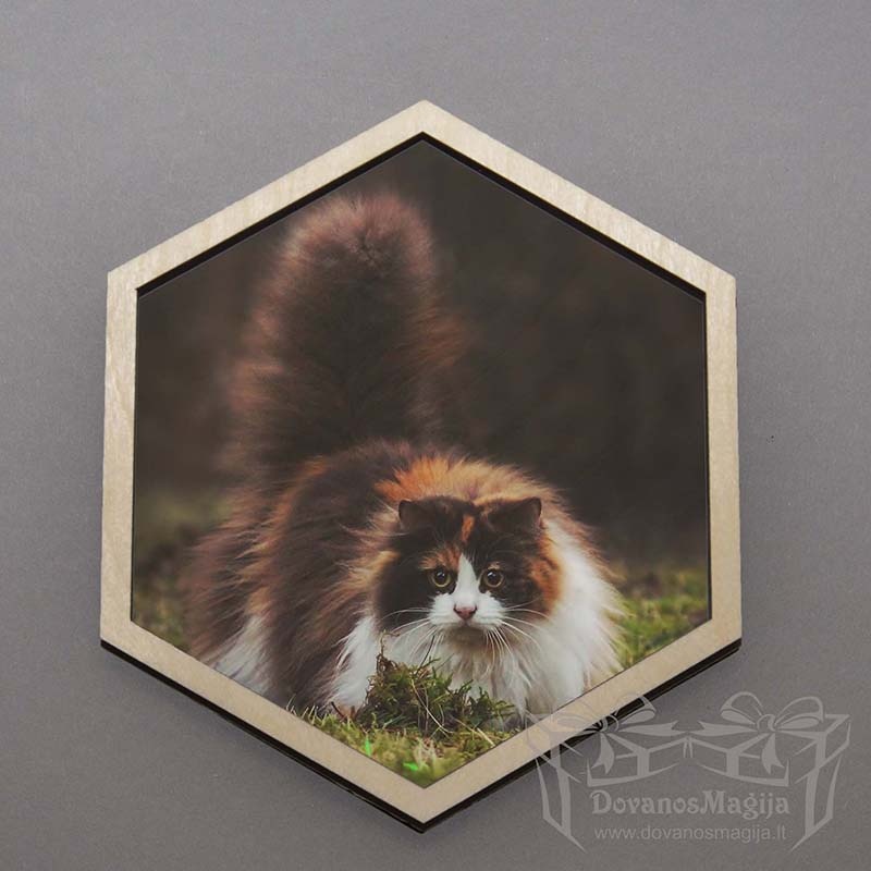 Šešiakampis foto rėmelis fotokorys