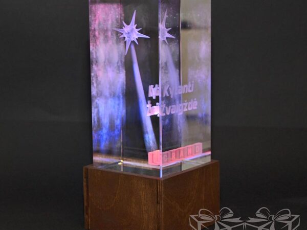 3D Apdovanojimas H30cm su akcentiniu LED
