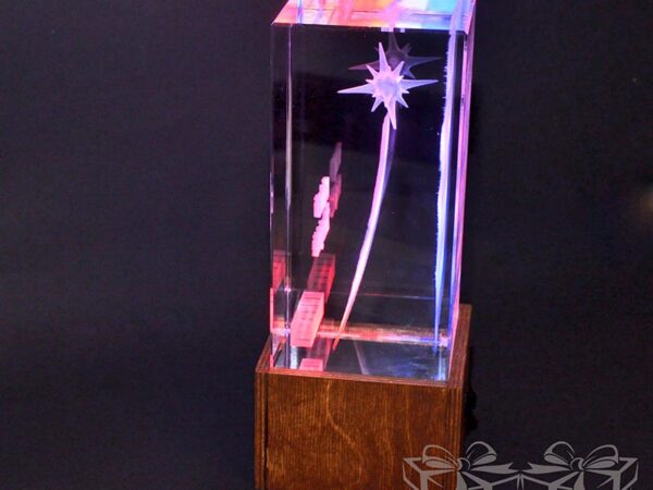 3D Apdovanojimas H30cm su akcentiniu LED