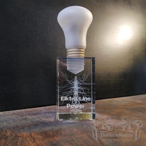 3D Apdovanojimas Lemputė 6x6x10cm