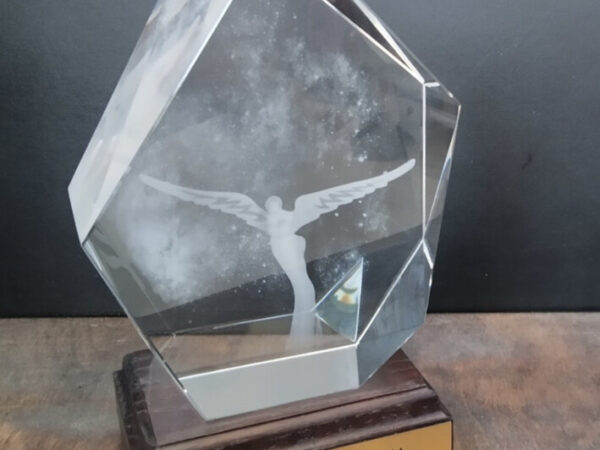 3D Apdovanojimas Ledkalnis medžio stovu h21cm